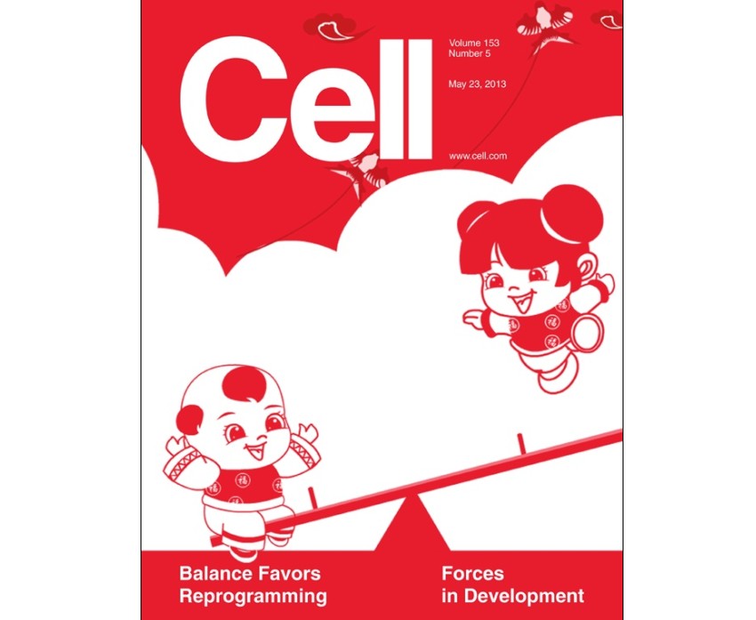 Induction of Pluripotency in Mouse Somatic Cells