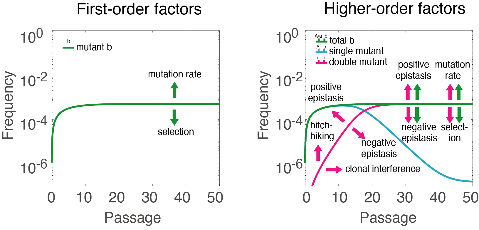 Tang lab and Raul Andino lab published paper on bioRxiv studying mathematical model of evolutionary trajectories of mutations