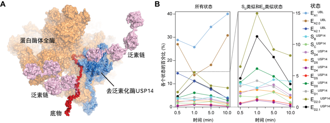 北京大学定量生物学中心