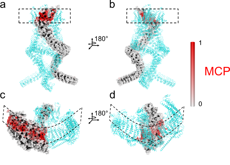 北京大学定量生物学中心 北京大学定量生物学中心