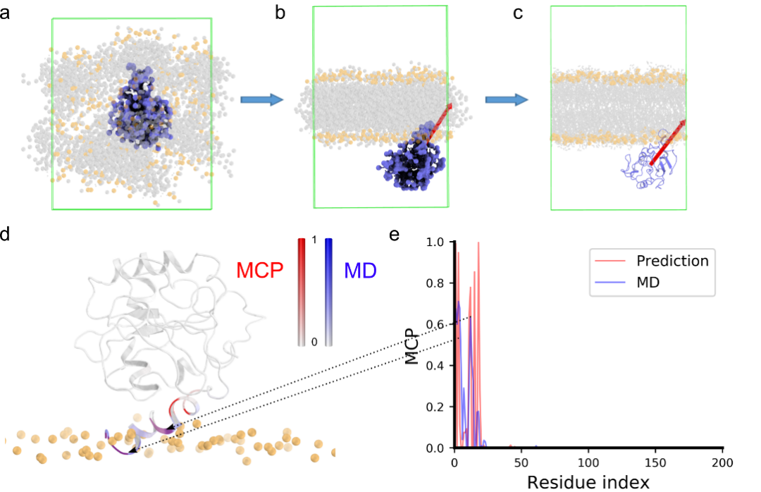 北京大学定量生物学中心 北京大学定量生物学中心