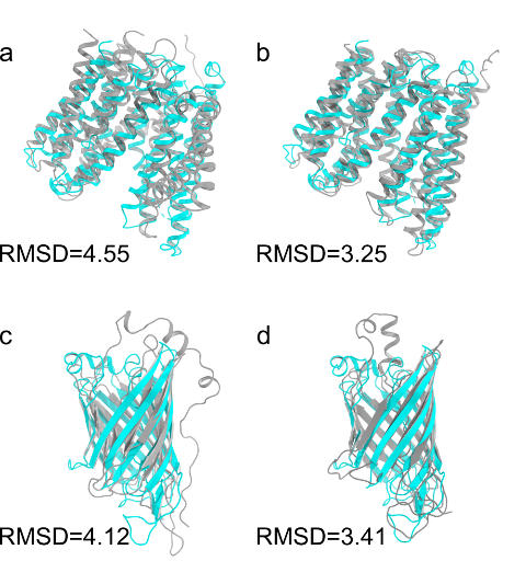 北京大学定量生物学中心 北京大学定量生物学中心