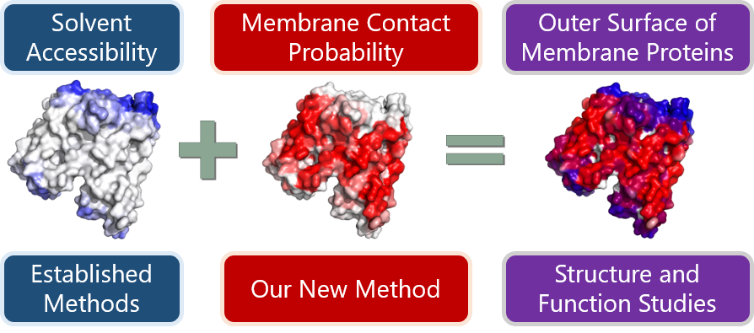 北京大学定量生物学中心 北京大学定量生物学中心
