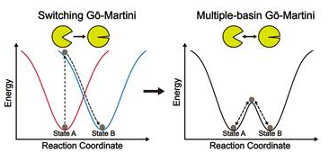 JCTC | 宋晨团队开发粗粒化模拟新方法Multiple-Basin Gō-Martini，推动蛋白构象动态转变研究