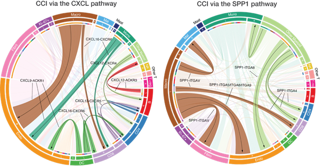 A close-up of a circular patternAI-generated content may be incorrect.