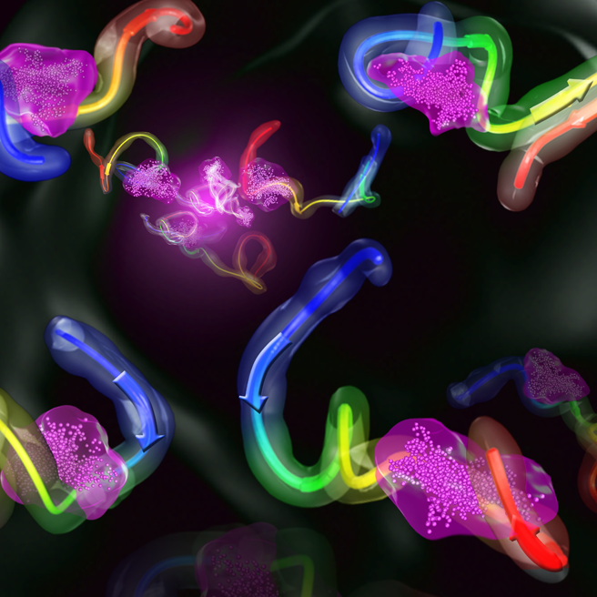 Ligand Clouds: A Scenario of Ligand Binding with Intrinsically Disordered Proteins