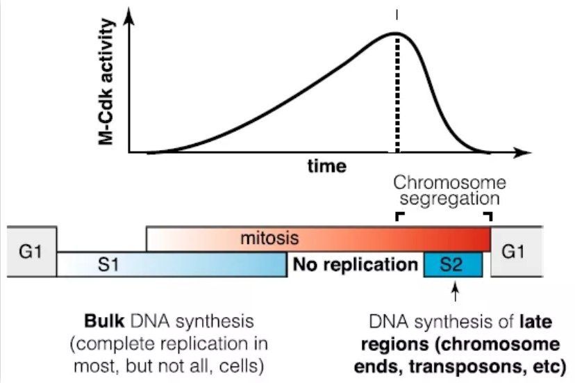 北京大学定量生物学中心 北京大学定量生物学中心
