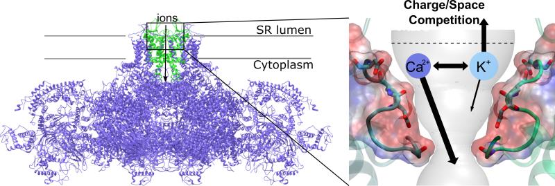 北京大学定量生物学中心